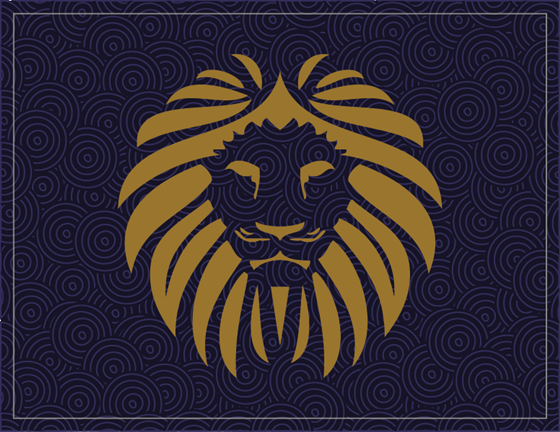 Разработка дизайна упаковки: Vergy — подарочная упаковка